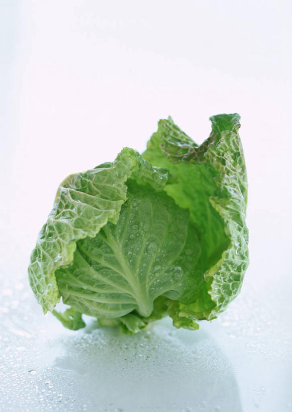 无人,竖图,室内,特写,白天,白色背景,正面,水,蔬菜,椰菜,卷心菜,叶子,阴影,新鲜,反射,液体,影子,水滴,食品,绿叶,食物,一个,嫩叶,甘蓝,摄影,有机食品,绿色食品,影棚,单个,甘蓝菜,叶,叶片,结球甘蓝,甘兰,包心菜,彩图,影棚拍摄,拍摄