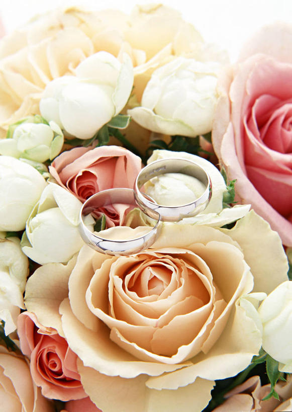 无人,竖图,俯视,室内,特写,白天,爱情,幸福,纯洁,热情,玫瑰,阴影,盛开,反射,影子,玫瑰花,浪漫,花蕾,花,花瓣,花朵,鲜花,白玫瑰,花苞,花蕊,温暖,温馨,恩爱,和睦,感动,粉玫瑰,尊敬,天真,刺玫花,徘徊花,彩图,高角度拍摄,香槟玫瑰,融洽