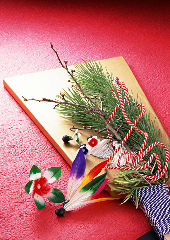 无人,竖图,俯视,室内,特写,白天,锻炼,运动,植物,阴影,艺术,盛开,反射,板羽球,影子,手工艺品,枝条,艺术品,花蕾,文化,运动器械,花,花瓣,花朵,鲜花,树,树木,树枝,工艺品,花苞,花蕊,健身器械,摄影,影棚,毽子,高雅,健身器材,常绿树,自信心,品位,羽子板,毽球,花毽,鸡毛毽,打手毽,毽子板球,花纸绳,日本水引,日本水引绣,水引绣,虬枝,枝杈,体育,针叶树,彩图,高角度拍摄,影棚拍摄,健身,拍摄,软材,运动器材