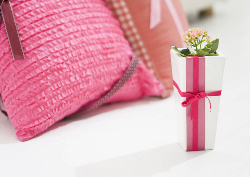 无人,客厅,横图,室内,特写,白天,正面,靠垫,沙发,礼盒,礼物,阴影,朦胧,模糊,盛开,反射,丝绸,丝带,影子,纸盒,缎带,靠枕,花蕾,绸带,盒子,花,花瓣,花朵,鲜花,包装盒,礼品盒,垫子,枕头,花苞,花蕊,礼品,起居室,布艺沙发,吉利,长寿,长寿花,圣诞伽蓝菜,寿星花,矮生伽蓝菜,客堂,彩图