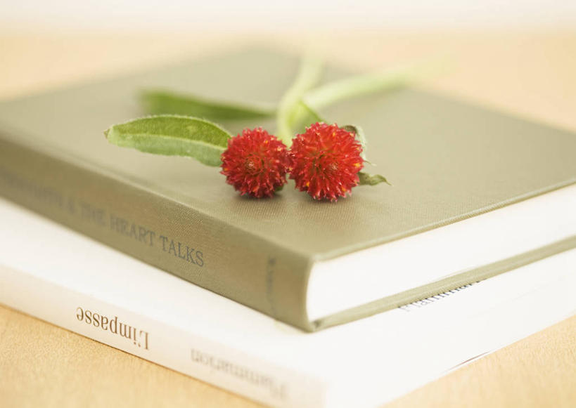 无人,横图,俯视,室内,特写,白天,桌面,桌子,书籍,阴影,朦胧,模糊,盛开,反射,木制,影子,花蕾,花,花瓣,花朵,鲜花,两朵,两个,红色,木制品,花苞,花蕊,两本,苋菜,凫葵,米苋,青香苋,莹莹菜,红苋菜,书,图书,彩图,高角度拍摄