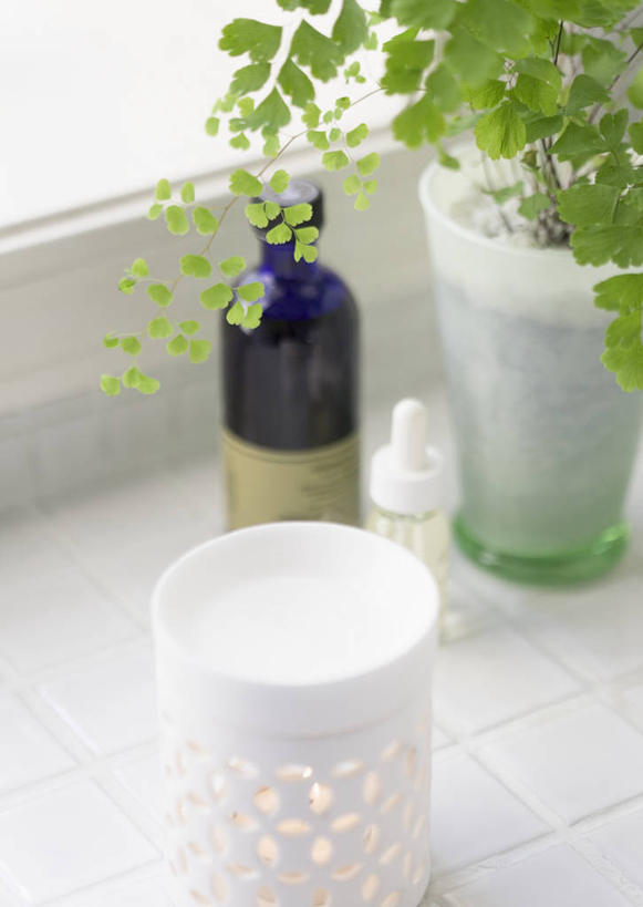 无人,竖图,俯视,室内,特写,白天,植物,窗户,落地窗,阴影,朦胧,模糊,反射,罐子,盆栽,影子,盆景,玻璃窗,玻璃制品,绿色,自然,玻璃瓶,精油,瓶子,香薰,放松,芳香疗法,生长,成长,舒心,舒缓,香薰精油,养颜,减压,香薰疗法,植物精油,彩图,高角度拍摄