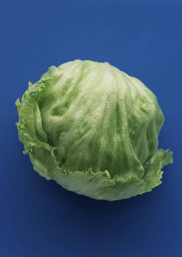 无人,竖图,俯视,室内,特写,白天,餐桌,桌子,蔬菜,椰菜,卷心菜,阴影,蓝色背景,新鲜,反射,影子,食品,食物,一个,绿色,甘蓝,摄影,有机食品,绿色食品,影棚,单个,餐台,甘蓝菜,结球甘蓝,甘兰,包心菜,彩图,高角度拍摄,影棚拍摄,拍摄