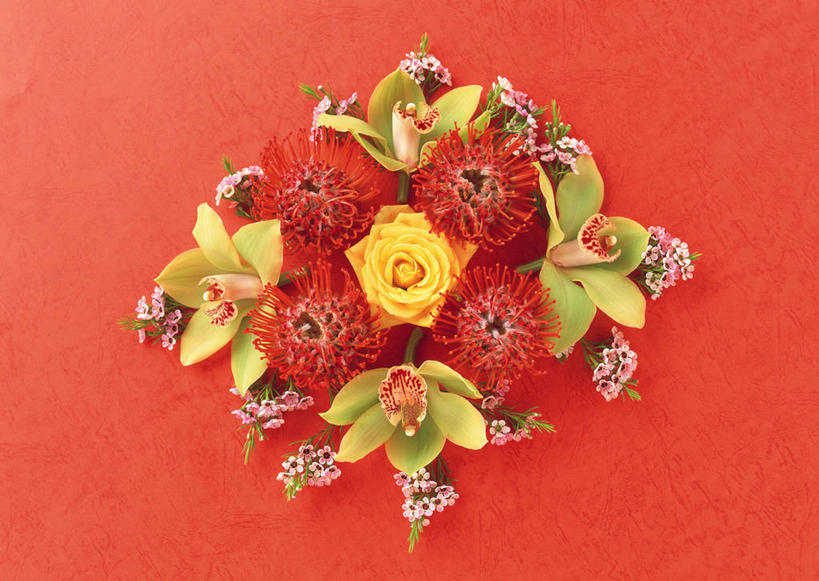 无人,横图,俯视,室内,特写,白天,爱情,幸福,纯洁,智慧,热情,桌面,桌子,玫瑰,阴影,红色背景,艺术,装饰,盛开,反射,木制,影子,玫瑰花,浪漫,花蕾,文化,花,花瓣,花朵,鲜花,插花,木制品,花苞,花蕊,温暖,温馨,恩爱,摄影,影棚,华丽,修饰,插花艺术,点缀,和睦,创造,高雅,创作,感动,想象,蕙兰,衬托,美观,雅致,雅观,尊敬,淡泊,花中君子,天真,刺玫花,兰花,徘徊花,彩图,高角度拍摄,影棚拍摄,拍摄,融洽