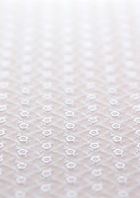 无人,竖图,室内,特写,白天,正面,静物,一块,花纹,装饰,纹路,布,图案,纹理,花边,布纹,白色,华丽,修饰,布匹,点缀,卫生,纯真,肌理,衬托,美观,雅致,雅观,抽纱,洁净,光明,恬静,中间色,朴素,清白,彩图