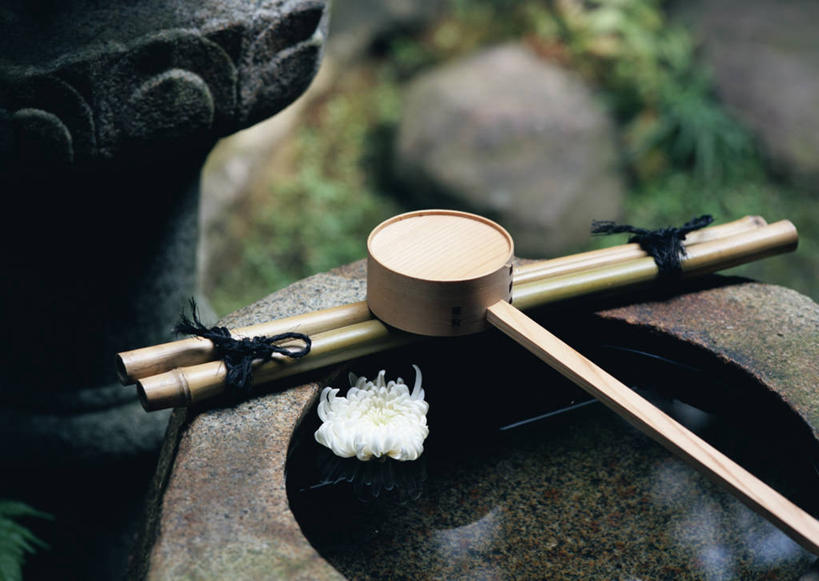 无人,横图,俯视,室外,特写,白天,爱情,纯洁,草地,草坪,石头,美景,植物,竹子,日本文化,盛开,石子,勺子,庭院,景观,院子,茶道,花蕾,文化,草,花,花瓣,花朵,鲜花,绿色,自然,调羹,汤匙,花苞,花蕊,菊花,景色,道具,园林,茶艺,环境,吉祥,高雅,自然风光,东亚文化,高洁,礼法,修行,长寿,奉献,质朴,正直,怀恋,清净,真情,寿客,秋菊,担当,石块,岩石,竹,彩图,高角度拍摄,茶庭,露地,蹲踞,奋进,操守,四君子,岁寒三友,性坚,虚怀,虚心,茶文化,善群,卓尔