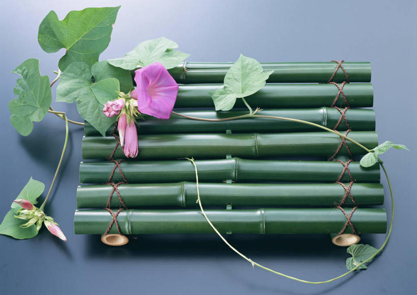 无人,横图,俯视,室内,特写,白天,爱情,喇叭花,叶子,一排,竹制,整齐,盛开,编织,竹排,绿叶,花蕾,竹筏,花,花瓣,花朵,鲜花,排列,紫色,花苞,花蕊,嫩叶,竹条,虚幻,竹制品,队列,永恒,牵牛,牵牛子,勤娘子,碧冬茄,朝颜花,灵芝牡丹,冷静,牵牛花,叶,叶片,彩图,高角度拍摄