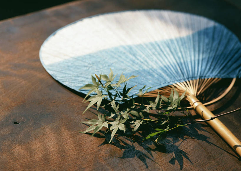 无人,横图,俯视,室内,特写,白天,叶子,一把,阴影,光线,扇子,影子,枫叶,枯叶,落叶,清凉,凉爽,文化,绿色,阳光,枫树叶,叶,叶片,彩图,高角度拍摄,和风扇,和风扇子,凉扇,传统文化