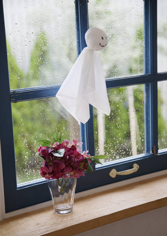 无人,竖图,室内,白天,正面,骄傲,水,窗户,八仙花,花瓶,阴影,盛开,反射,液体,影子,水滴,花蕾,文化,玻璃窗,玻璃制品,花,花瓣,花朵,鲜花,玻璃瓶,瓶子,花苞,花蕊,绣球花,祈祷,健康,许愿,纪念,祈求,晴天娃娃,紫阳花,洋绣球,草绣球,斗球,七变化,粉团花,善变,放晴娘,晴天和尚,扫晴娘,扫天婆,平安,彩图