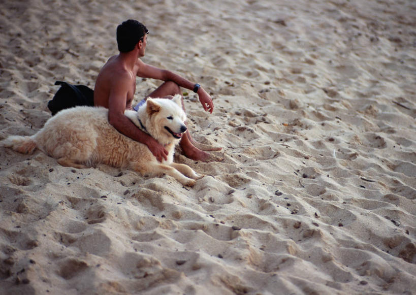 西方人,一个人,坐,摸,横图,俯视,室外,白天,旅游,度假,岛屿,美景,沙滩,宠物,狗,夏威夷,欧洲,美国,欧洲人,仅一个男性,仅一个人,抚摸,短裤,裤子,朦胧,模糊,沙子,海岸,景观,沙地,娱乐,仅一个年轻男性,一只,自然,动物,享受,休闲,景色,放松,可爱,沙滩裤,北美,北美洲,自然风光,美洲,忠诚,瓦胡岛,欧胡岛,欧湖岛,夏威夷州,爱洛哈之州,北亚美利加洲,亚美利加洲,聚集之岛,男人,男性,年轻男性,白种人,海滩,列岛,群岛,诸岛,犬,触摸,接触,坐着,彩图,高角度拍摄,全身
