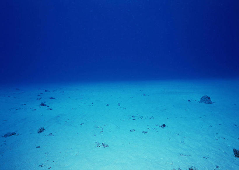 无人,横图,室外,白天,正面,旅游,度假,海底,水下,海浪,海洋,美景,贝壳,景观,浪花,水底,娱乐,自然,海水,享受,休闲,景色,放松,海底世界,太平洋,自然风光,海景,北马里亚那群岛,北马里亚纳,北马里亚纳群岛,北马里亚纳群岛自由联邦,塞班岛,西太平洋,贝类外壳,海螺壳,软体动物外壳,大海,风浪,海,海床,海水的波动,近岸浪,涌浪,彩图