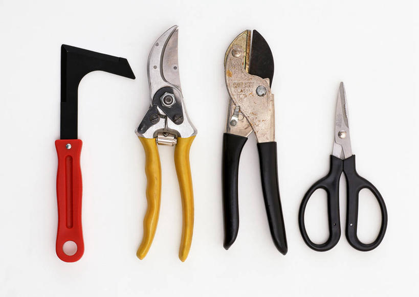 无人,横图,室内,特写,白天,白色背景,正面,静物,金属制品,一排,修剪,整齐,金属,工具,剪刀,园艺工具,园艺,四把,排列,摄影,影棚,裁剪,剪子,剪裁,切割,队列,篱笆剪,整篱剪,彩图,影棚拍摄,拍摄