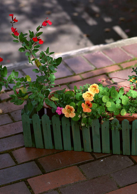 无人,家庭,栏杆,竖图,俯视,室外,特写,白天,智慧,美景,叶子,阴影,盛开,光线,木制,瓷砖,地砖,木盒,影子,栅栏,景观,篱笆,园艺,围栏,绿叶,地面,花蕾,护栏,花,花瓣,花朵,鲜花,阳光,自然,木制品,容器,花苞,花蕊,嫩叶,景色,储藏,鼠尾草,储存,自然风光,金链花,腊肠树,理性,阿勃勒,波斯皂荚,长果子树,黄金雨,金急雨,牛角树,婆罗门皂荚,猪肠豆,叶,叶片,彩图,高角度拍摄,贮存