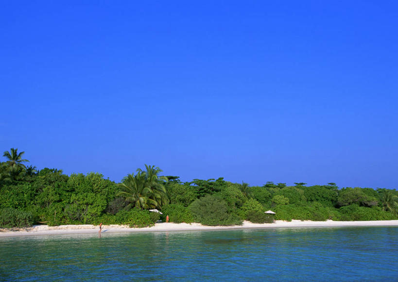 无人,横图,室外,白天,正面,旅游,度假,海浪,海洋,美景,沙滩,树林,植物,棕榈树,叶子,马尔代夫,亚洲,阴影,光线,沙子,影子,海岸,景观,浪花,绿叶,沙地,娱乐,树,树木,蓝色,绿色,蓝天,天空,阳光,自然,海水,天,享受,休闲,嫩叶,景色,放松,生长,晴朗,成长,自然风光,南亚,海景,棕榈叶,万里无云,马尔代夫共和国,叶,叶片,大海,风浪,海,海水的波动,海滩,近岸浪,涌浪,晴空,晴空万里,彩图,索尼娃姬莉酒店