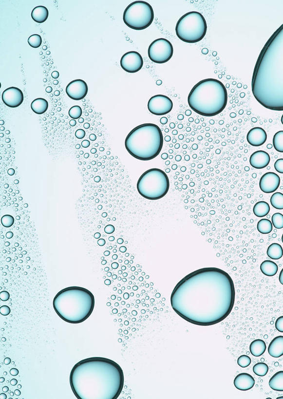 无人,竖图,室内,特写,白天,正面,水,露水,阴影,透明,反射,液体,影子,水滴,水珠,露珠,摄影,影棚,生机,剔透,灵动,通明,彩图,影棚拍摄,拍摄,晶莹