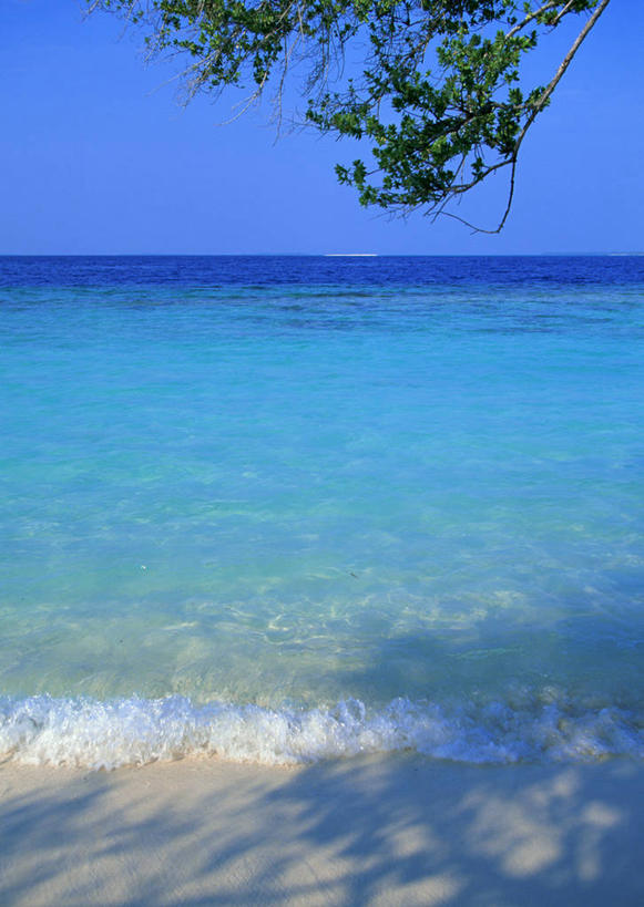 无人,竖图,室外,白天,正面,旅游,度假,海浪,海洋,美景,植物,棕榈树,叶子,马尔代夫,亚洲,阴影,光线,影子,景观,浪花,水平线,辽阔,绿叶,海平线,娱乐,树,树木,蓝色,绿色,蓝天,天空,阳光,自然,海水,天,享受,休闲,广阔,嫩叶,景色,放松,生长,晴朗,成长,一望无际,自然风光,南亚,海景,棕榈叶,万里无云,马尔代夫共和国,无边无际,一马平川,叶,叶片,大海,风浪,海,海水的波动,近岸浪,涌浪,晴空,晴空万里,彩图,索尼娃姬莉酒店,水天相接,水天一线