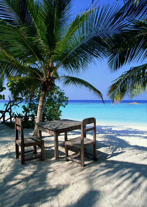 无人,竖图,室外,白天,正面,旅游,度假,海浪,海洋,美景,沙滩,植物,桌面,桌子,棕榈树,叶子,椅子,马尔代夫,亚洲,阴影,光线,木制,沙子,影子,木椅,海岸,景观,浪花,水平线,辽阔,绿叶,海平线,沙地,娱乐,树,树木,蓝色,绿色,蓝天,天空,阳光,自然,海水,木制品,天,享受,休闲,广阔,嫩叶,景色,放松,生长,晴朗,成长,一望无际,自然风光,南亚,海景,棕榈叶,万里无云,马尔代夫共和国,无边无际,一马平川,叶,叶片,大海,风浪,海,海水的波动,海滩,近岸浪,涌浪,晴空,晴空万里,彩图,索尼娃姬莉酒店,水天相接,水天一线