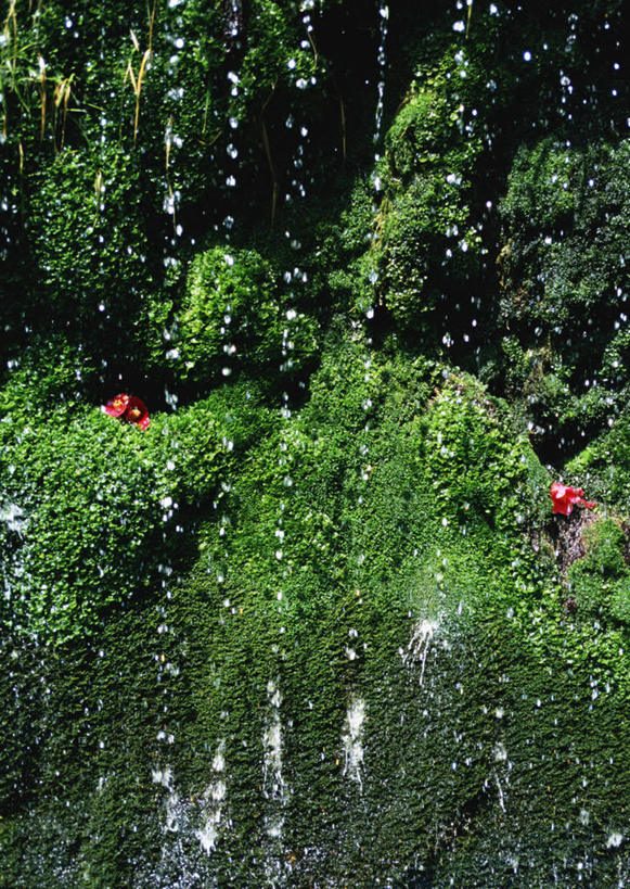 无人,竖图,室外,白天,正面,旅游,度假,石头,美景,山,山脉,水,日本,亚洲,阴影,飞溅,溅,光线,石子,液体,影子,景观,山峰,水滴,青苔,苔藓,山峦,娱乐,水珠,阳光,自然,群山,享受,休闲,景色,放松,喷洒,自然风光,东亚,日本国,九州本岛,九州,九州岛,九州地方,熊本,熊本县,石块,岩石,彩图,阿苏郡