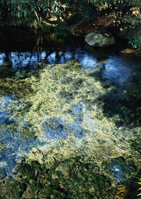 无人,竖图,俯视,室外,特写,白天,旅游,度假,湖,湖泊,美景,水,日本,亚洲,波纹,湖面,景观,水流,水面,涟漪,娱乐,倒影,水纹,自然,波浪,湖水,享受,休闲,景色,放松,倒映,自然风光,东亚,日本国,九州本岛,九州,九州岛,九州地方,水晕,熊本,熊本县,反照,彩图,高角度拍摄,阿苏郡