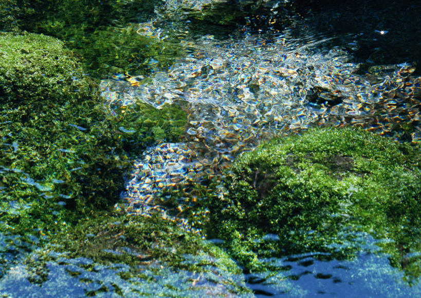 无人,横图,俯视,室外,特写,白天,旅游,度假,湖,湖泊,石头,美景,水,植物,日本,亚洲,波纹,新鲜,石子,湖面,景观,水流,水面,水草,涟漪,娱乐,绿色,倒影,水纹,自然,波浪,湖水,享受,休闲,景色,放松,生长,成长,青春,倒映,生命,自然风光,和平,安详,东亚,日本国,九州本岛,九州,九州岛,九州地方,水晕,熊本,熊本县,冷色,反照,石块,岩石,彩图,高角度拍摄,阿苏郡