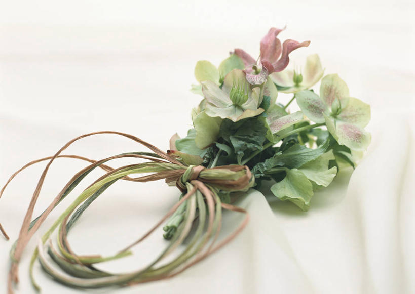 无人,横图,俯视,室内,特写,白天,婚礼,快乐,智慧,植物,叶子,朦胧,模糊,庆祝,艺术,装饰,盛开,布料,纹理,绿叶,圣诞红,枝条,结婚,花蕾,布纹,文化,桌布,花,花瓣,花朵,鲜花,树,树木,树枝,绿色,插花,餐巾,台布,花苞,花蕊,喜庆,嫩叶,纪念,华丽,修饰,插花艺术,点缀,创造,矛盾,创作,想象,犹豫,肌理,衬托,美观,雅致,雅观,虬枝,枝杈,圣诞玫瑰,叶,叶片,叶脉,彩图,高角度拍摄,高兴,秋红