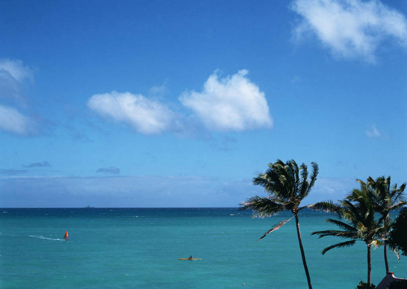 无人,横图,室外,白天,正面,旅游,度假,岛屿,海浪,海洋,美景,植物,棕榈树,叶子,夏威夷,美国,景观,浪花,水平线,云,云朵,辽阔,绿叶,海平线,云彩,娱乐,树,树木,蓝色,绿色,白云,蓝天,天空,自然,海水,天,享受,休闲,广阔,嫩叶,景色,放松,生长,晴朗,成长,一望无际,北美,北美洲,自然风光,美洲,海景,棕榈叶,瓦胡岛,欧胡岛,欧湖岛,夏威夷州,爱洛哈之州,北亚美利加洲,亚美利加洲,聚集之岛,无边无际,一马平川,叶,叶片,大海,风浪,海,海水的波动,近岸浪,列岛,群岛,涌浪,诸岛,晴空,棕树,棕榈,彩图,凯卢阿,水天相接,水天一线