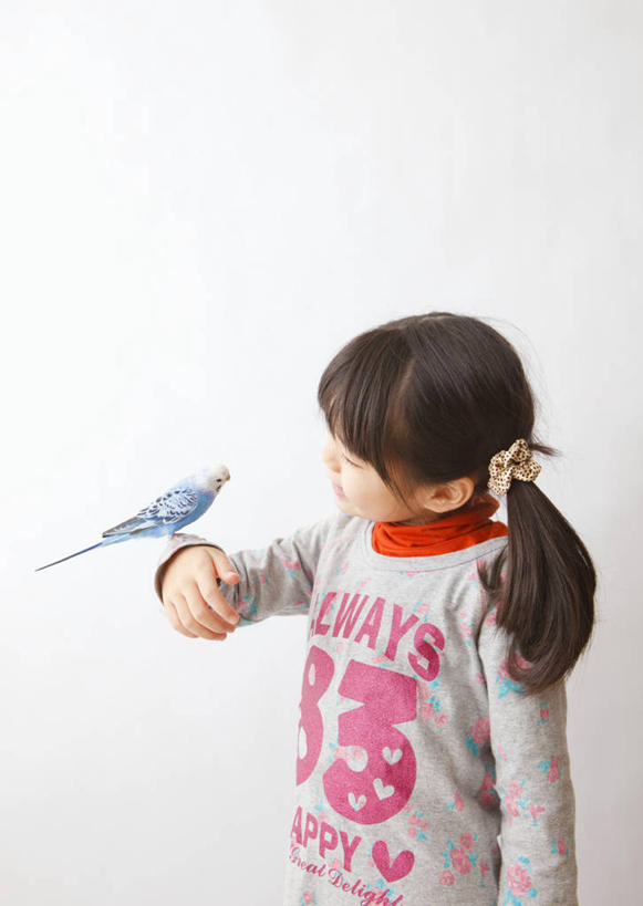 东方人,儿童,一个人,站,举,笑,微笑,竖图,室内,白天,白色背景,正面,纯洁,鸟,鹦鹉,亚洲,仅一个女性,仅一个人,服装,英文,鸟类,标志,文字,字符,字母,注视,休闲装,黄种人,标识,一只,小孩,衣服,蓝色,动物,观察,看,托,站着,仅一个小孩,休闲,休闲服,可爱,童年,童趣,摄影,服饰,活泼,影棚,观看,英文字母,察看,关注,童真,阿拉伯文,烂漫,无邪,观赏鸟,阿拉伯语,阿拉伯字母,彩凤,虎皮鹦鹉,娇凤,天真,女孩,女人,女性,亚洲人,孩子,举起,举手,举着,向上举,向上伸,向上托,站立,半身,彩图,影棚拍摄,拍摄,女生