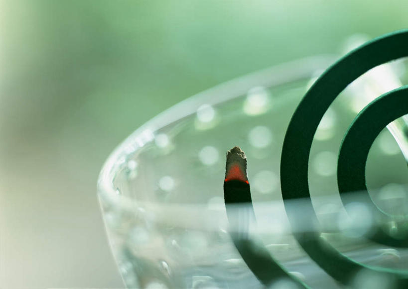 无人,横图,室外,特写,白天,正面,草地,草坪,植物,玻璃,阴影,朦胧,模糊,光线,螺旋,蚊香,影子,玻璃制品,草,一个,绿色,阳光,容器,碗,单个,储藏,储存,盘香,彩图,驱蚊物,贮存