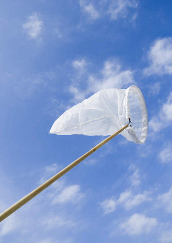 无人,竖图,室外,特写,白天,仰视,静物,阴影,光线,影子,云,云朵,捕虫网,云彩,一个,蓝色,白色,白云,蓝天,天空,阳光,天,晴朗,单个,扫网,水网,扑网,晴空,彩图,低角度拍摄