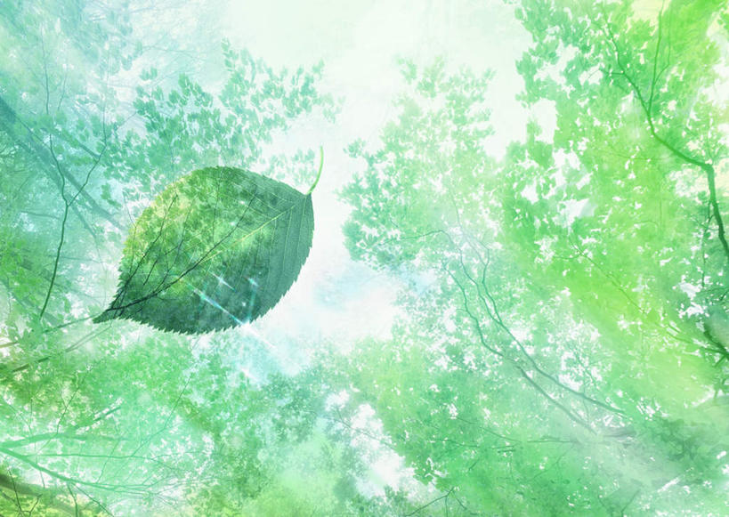 无人,横图,室内,白天,正面,数码,科技,美景,树林,植物,叶子,阴影,网络,景观,绿叶,高光,几何,计算机图形,合成,树,树木,绿色,自然,嫩叶,景色,生长,成长,电脑合成图,数码合成图,合成图,自然风光,写实,具体,具象,叶,叶片,彩图
