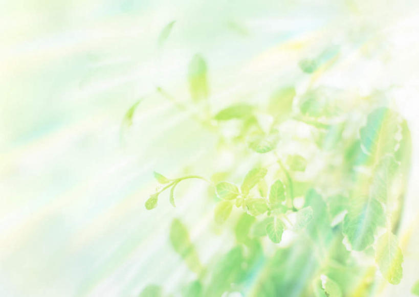 无人,横图,室内,白天,正面,数码,科技,美景,植物,阴影,梦幻,发光,光束,网络,景观,光亮,高光,几何,计算机图形,合成,树,树木,绿色,自然,景色,生长,成长,电脑合成图,数码合成图,未来,合成图,发亮,自然风光,憧憬,写实,具体,具象,彩图