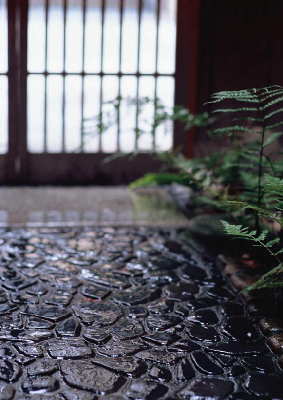 无人,商店,竖图,俯视,室内,白天,植物,门,拉门,日本文化,瓷砖,地砖,盆栽,盆景,地面,文化,商铺,移门,绿色,自然,日式,生长,成长,障子,纸门,拉窗,纸拉窗,纸拉门,市肆,商号,彩图,高角度拍摄,店铺,传统文化