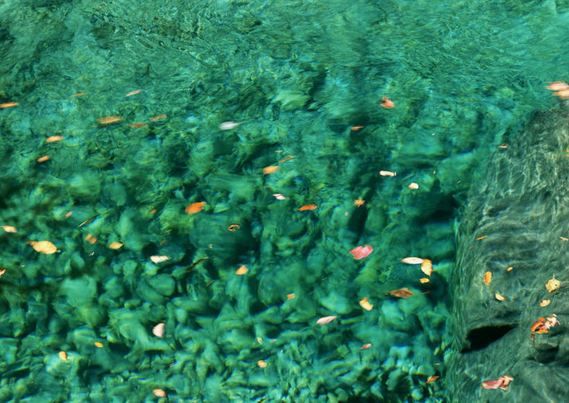 无人,横图,俯视,室外,特写,白天,旅游,度假,湖,湖泊,美景,水,植物,叶子,长野县,日本,亚洲,波纹,新鲜,湖面,景观,水流,水面,水草,枯叶,落叶,涟漪,娱乐,绿色,倒影,水纹,自然,波浪,湖水,享受,休闲,景色,放松,生长,成长,青春,倒映,生命,自然风光,和平,安详,东亚,本州,本州岛,日本国,中部地方,水晕,长野,冷色,反照,叶,叶片,彩图,高角度拍摄,大桑村,木曾郡