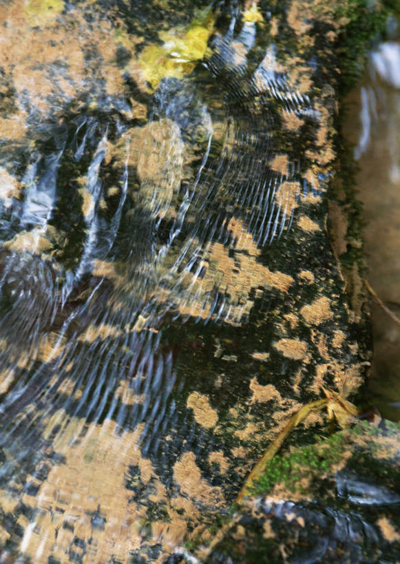 无人,竖图,俯视,室外,特写,白天,旅游,度假,湖,湖泊,石头,美景,水,日本,亚洲,波纹,石子,湖面,景观,水流,水面,涟漪,娱乐,倒影,水纹,自然,波浪,湖水,享受,休闲,景色,放松,倒映,自然风光,东亚,本州,本州岛,日本国,水晕,东北地方,山形,山形县,反照,石块,岩石,彩图,高角度拍摄,西川町,西村山郡