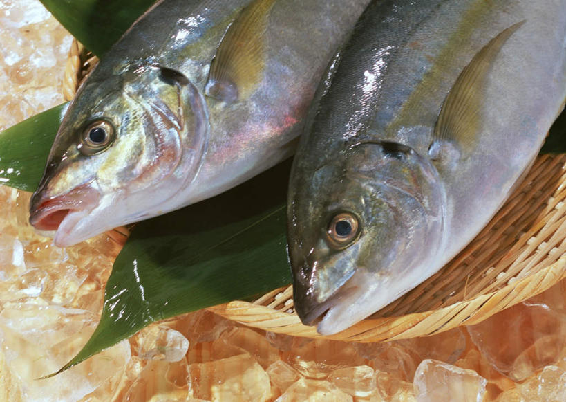 无人,横图,俯视,室内,特写,白天,桌面,桌子,叶子,两条,木制,鱼,冰,冰块,绿叶,冷冻,鱼类,海洋生物,木制品,嫩叶,寒冷,冷藏,鲹鱼,冰冷,水生动物,水生物,海底动物,鲹,保鲜,叶,叶片,半身,彩图,高角度拍摄,大眼鲹,杰克鱼