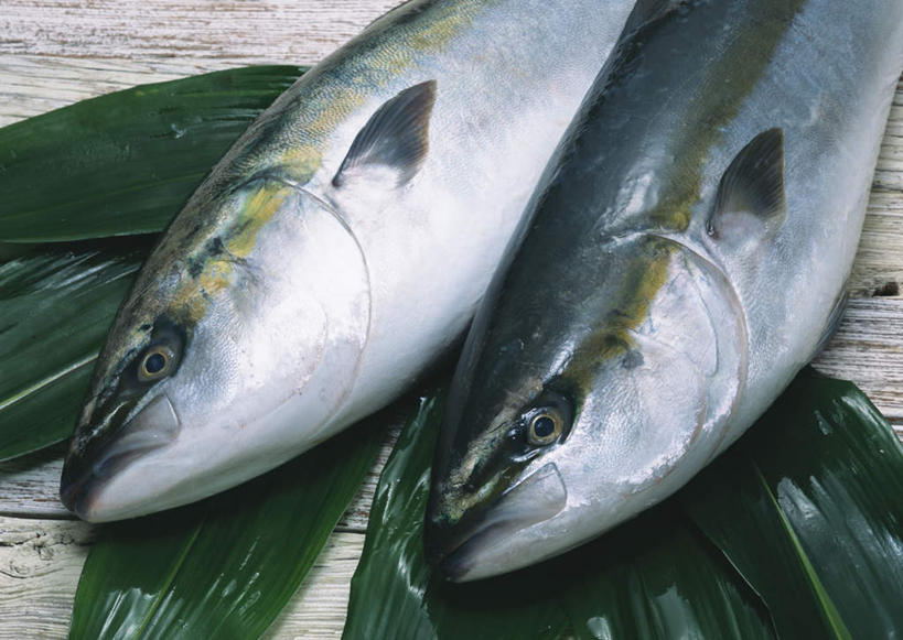 海鲜,无人,横图,俯视,室内,特写,白天,桌面,桌子,叶子,两条,木制,鱼,绿叶,水产,鱼类,海洋生物,木制品,嫩叶,水生动物,海产品,水生物,海底动物,鰤,鰤鱼,叶,叶片,半身,彩图,高角度拍摄