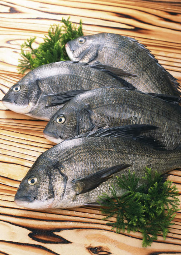 海鲜,无人,竖图,俯视,室内,特写,白天,桌面,桌子,叶子,一排,整齐,木制,鱼,绿叶,鲷鱼,水产,鱼类,海洋生物,排列,黑色,木制品,四条,嫩叶,鲷,加吉鱼,铜盆鱼,队列,水生动物,海产品,水生物,海底动物,黑鲷,班加吉,加真鲷,叶,叶片,半身,彩图,高角度拍摄,黑鲷鱼,黑棘鲷,青鳞加吉