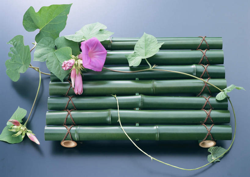 无人,横图,俯视,室内,特写,白天,爱情,喇叭花,叶子,一排,竹制,整齐,盛开,编织,竹排,绿叶,花蕾,竹筏,花,花瓣,花朵,鲜花,排列,紫色,花苞,花蕊,嫩叶,竹条,虚幻,竹制品,队列,永恒,牵牛,牵牛子,勤娘子,碧冬茄,朝颜花,灵芝牡丹,冷静,牵牛花,叶,叶片,彩图,高角度拍摄
