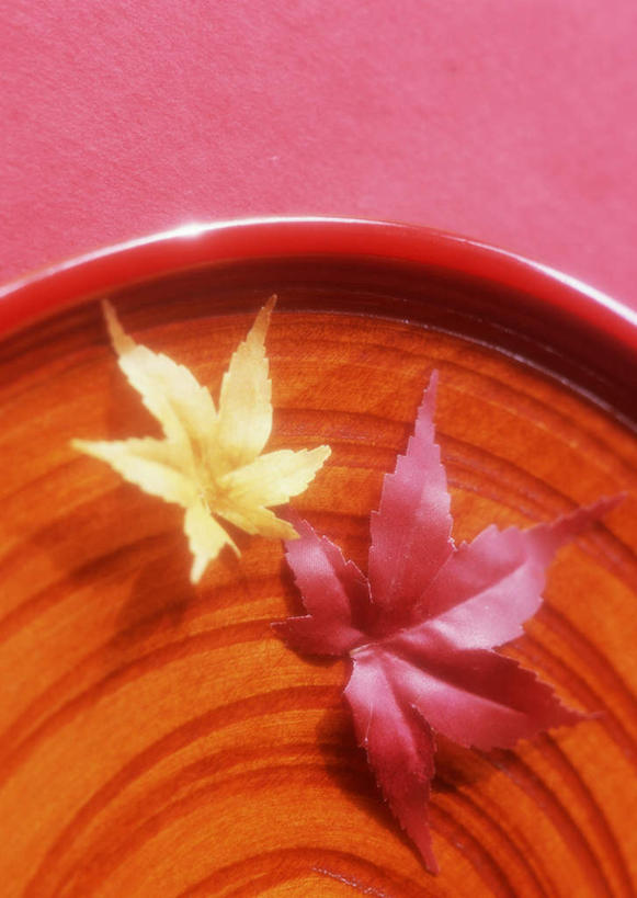 无人,竖图,俯视,室内,特写,白天,餐具,叶子,两片,红色背景,木制,碟子,盘,枫叶,枯叶,落叶,一个,黄色,红色,盘子,木制品,碟,摄影,影棚,单个,枫树叶,叶,叶片,彩图,高角度拍摄,影棚拍摄,拍摄,葡萄槭,藤枫,藤槭