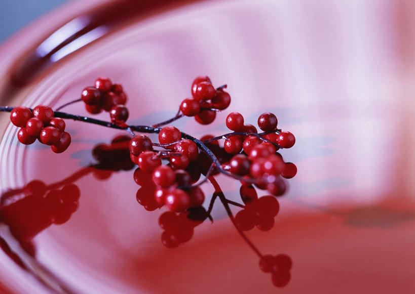 无人,横图,俯视,室内,特写,白天,餐具,黑色背景,日本文化,盛开,碟子,盘,花蕾,文化,花,花瓣,花朵,鲜花,红色,盘子,碟,花苞,花蕊,忧伤,摄影,影棚,美好,善良,痛苦,忠诚,花楸,红果臭山槐,百华花楸,马加木,彩图,高角度拍摄,影棚拍摄,哭泣,拍摄