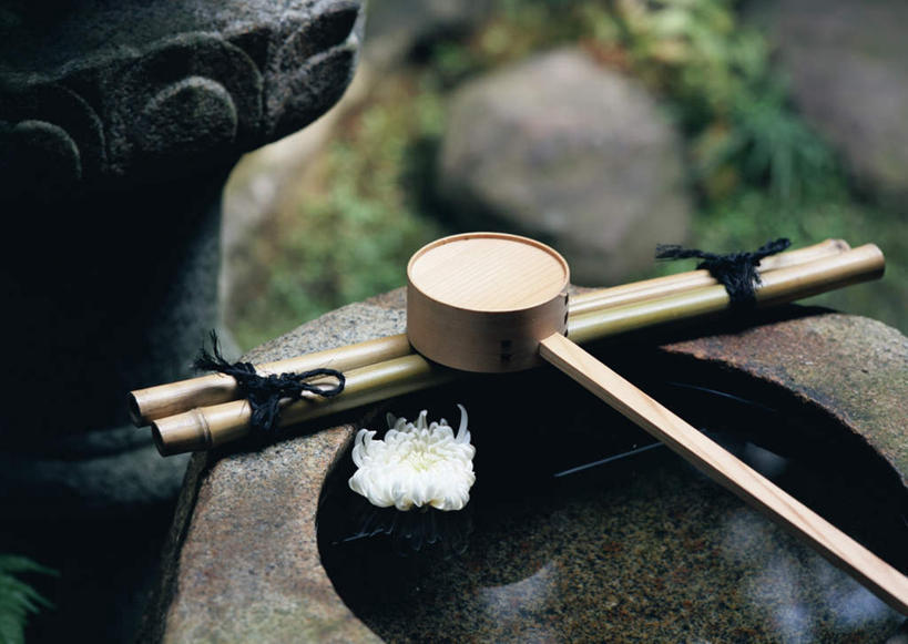 无人,横图,俯视,室外,特写,白天,爱情,纯洁,草地,草坪,石头,美景,植物,竹子,朦胧,模糊,日本文化,盛开,石子,勺子,庭院,景观,院子,茶道,花蕾,文化,草,花,花瓣,花朵,鲜花,绿色,自然,调羹,汤匙,花苞,花蕊,菊花,景色,道具,园林,茶艺,环境,吉祥,高雅,自然风光,东亚文化,高洁,礼法,修行,长寿,奉献,质朴,正直,怀恋,清净,真情,寿客,秋菊,担当,石块,岩石,竹,彩图,高角度拍摄,茶庭,露地,蹲踞,奋进,操守,四君子,岁寒三友,性坚,虚怀,虚心,茶文化,善群,卓尔