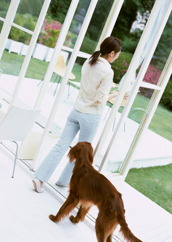 东方人,一个人,走,竖图,室内,白天,草地,草坪,植物,门,宠物,狗,椅子,玻璃,亚洲,仅一个年轻女性,仅一个女性,仅一个人,握,木椅,黄种人,玻璃制品,草,树,树木,一只,背面,绿色,自然,动物,门框,可爱,握着,生长,成长,忠诚,塞特犬,雪达犬,爱尔兰塞特犬,爱尔兰雪达犬,年轻女性,女人,女性,亚洲人,犬,步行,散步,走路,彩图,全身