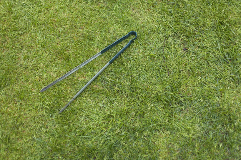 无人,横图,俯视,室外,特写,白天,草地,草坪,植物,金属制品,金属,草,一个,绿色,夹子,单个,食品夹,食物夹,面包夹,意粉夹,彩图,高角度拍摄
