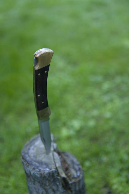 无人,竖图,俯视,室外,特写,白天,草地,草坪,植物,金属制品,一把,朦胧,模糊,金属,工具,树桩,刀具,草,树干,绿色,刀,木桩,菜刀,切菜刀,彩图,高角度拍摄