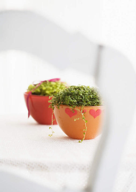 无人,竖图,俯视,室内,特写,白天,爱情,植物,桌面,桌子,叶子,阴影,爱心,朦胧,模糊,装饰,反射,木制,布料,盆栽,丝绸,丝带,纹理,影子,绿叶,缎带,盆景,浪漫,布纹,绸带,桌布,两个,红色,绿色,自然,餐巾,木制品,台布,温暖,温馨,心形,嫩叶,恩爱,生长,成长,华丽,修饰,点缀,和睦,肌理,衬托,美观,雅致,雅观,心型,叶,叶片,叶脉,餐桌布,彩图,高角度拍摄,融洽