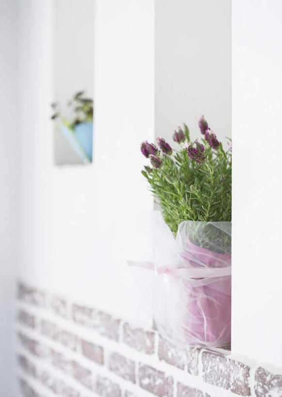 无人,竖图,室内,特写,白天,正面,智慧,植物,叶子,艺术,装饰,盛开,包装,包装纸,盆栽,丝绸,丝带,纹理,纸,墙,绿叶,缎带,盆景,纸张,花蕾,文化,墙壁,墙面,绸带,花,花瓣,花朵,鲜花,绿色,白色,自然,插花,花苞,花蕊,嫩叶,生长,成长,华丽,修饰,插花艺术,点缀,包装材料,创造,牛皮纸,创作,想象,肌理,衬托,美观,雅致,雅观,叶,叶片,叶脉,彩图