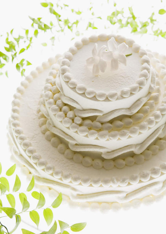 点心,无人,竖图,俯视,室内,特写,白天,白色背景,婚礼,快乐,叶子,庆祝,装饰,食品,绿叶,婚礼蛋糕,结婚,食物,糕点,喜庆,嫩叶,摄影,影棚,纪念,华丽,修饰,点缀,衬托,美观,雅致,雅观,叶,叶片,彩图,高角度拍摄,影棚拍摄,高兴,拍摄,蛋糕,结婚蛋糕