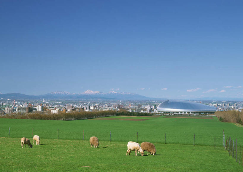 无人,体育馆,家,农场,运动场,站,吃,横图,室外,白天,正面,度假,畜牧业,牧场,草地,草坪,石头,美景,山,山脉,植物,城市风光,城市,马,野生动物,北海道,日本,亚洲,许多,阴影,光线,石子,影子,房屋,屋子,景观,山顶,山峰,云,云朵,公寓,山峦,很多,云彩,注视,娱乐,体育场,洋房,楼房,住宅,草,树,树木,蓝色,绿色,白云,蓝天,天空,阳光,自然,动物,群山,天,低头,观察,看,站着,享受,休闲,景色,放松,运输,牲畜,生长,晴朗,成长,观看,察看,关注,东亚,沉积岩,畜牧,札幌,日本国,北海道地方,北海道岛,牧业,运动馆,县厅,垂头,颠峰,极峰,水成岩,石块,岩石,晴空,嚼,食,站立,彩图,全身,房子,丰平区,羊丘展望台,札幌市