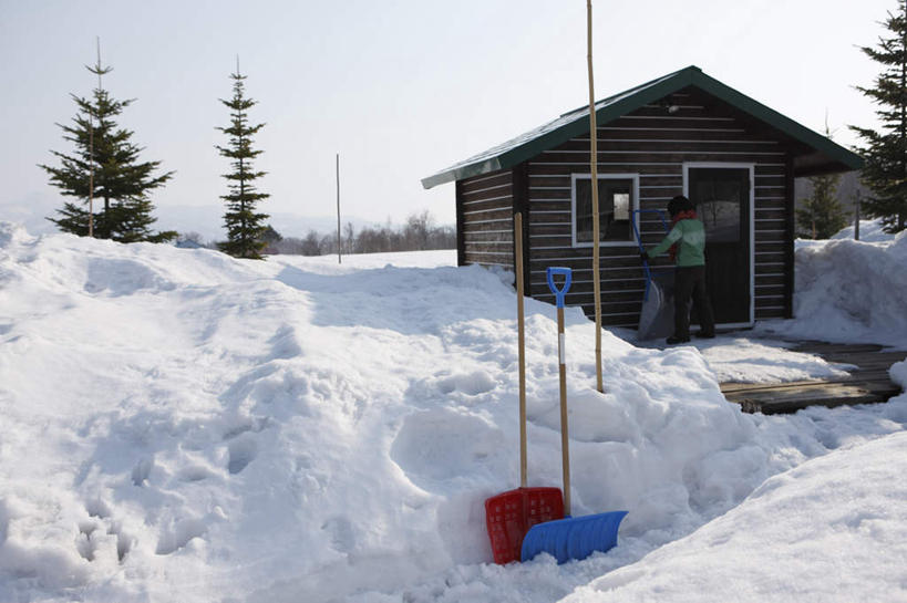 东方人,一个人,家,木屋,站,横图,室外,白天,正面,美景,树林,雪,植物,大雪,帽子,亚洲,仅一个年轻女性,仅一个女性,仅一个人,阴影,服装,光线,影子,积雪,景观,雪景,冬季,冬天,注视,休闲装,黄种人,住宅,树,树木,衣服,蓝色,绿色,蓝天,天空,阳光,自然,天,观察,看,站着,休闲,休闲服,景色,寒冷,服饰,生长,晴朗,成长,观看,察看,关注,自然风光,万里无云,棉帽,严寒,除雪板,除雪铲,清雪板,清雪铲,扫雪板,扫雪铲,推雪板,推雪铲,年轻女性,女人,女性,亚洲人,晴空,晴空万里,站立,彩图,全身,茅舍,茅屋,棚屋,小木屋,小屋