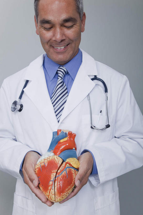 西方人,内脏,心脏,动脉,静脉,一个人,医生,站,笑,微笑,露齿笑,竖图,室内,白天,正面,工作服,制服,静物,欧洲,欧洲人,仅一个男性,仅一个人,仅一个中年男性,握,服装,领带,拿,拿着,注视,衣服,模型,听诊器,低头,观察,看,站着,医护人员,医疗人员,握着,人体,服饰,观看,察看,医疗设备,生物学,象征,衣着,庄重,器官,穿着,关注,医疗器械,身份,医疗工具,心血管,心房,心室,生理学,正式,地位,垂头,工作制服,衣饰,检测工具,男人,男性,中年男性,白种人,心,大夫,站立,半身,彩图,工作套服